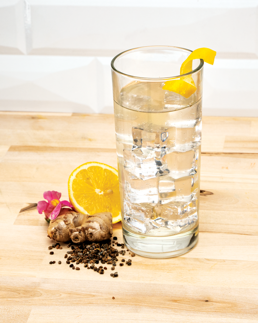 Spiced Gin Fizz